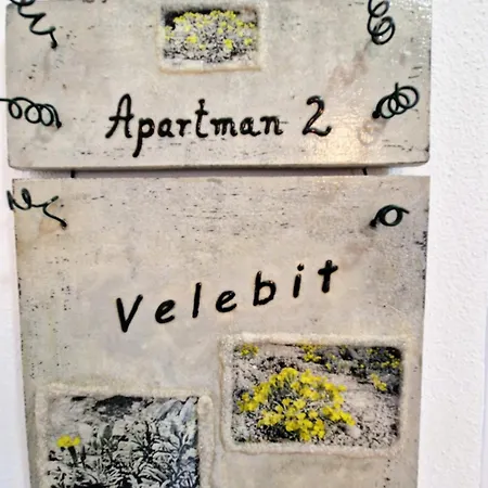 Medici Apartament *